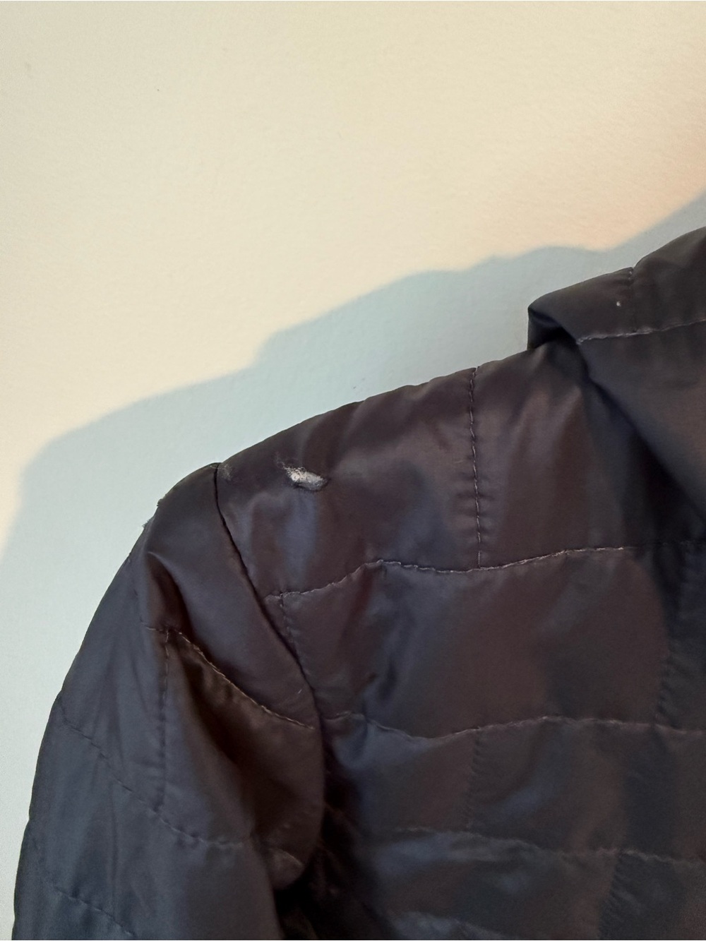 Patagonia Women's Nano Puff Bivy Pullover (Style #84196).